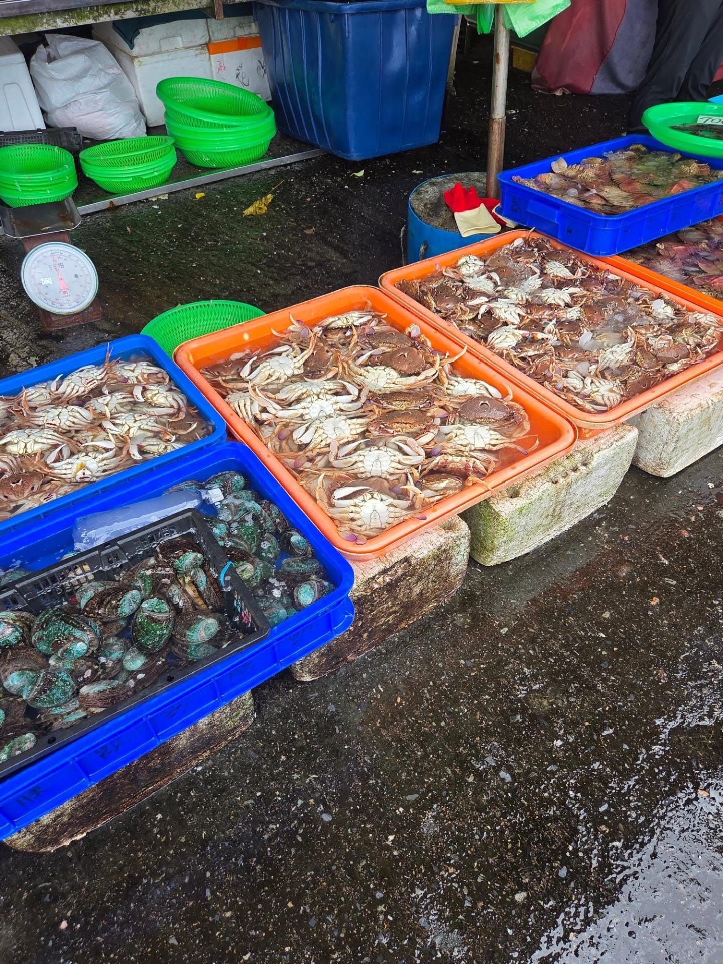 魚市攤位上分盤陳列的螃蟹